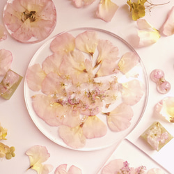 【春】桜とトルコギキョウのお皿 ～あなただけの恋の物語～　 1枚目の画像