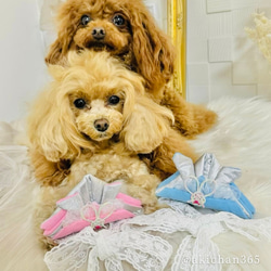 フリル付きミニ兜（小型犬用）かぶれる兜 正月 こどもの日 初節句 七五三 布兜誕生日 犬 猫 うさぎ ピンク ブルー 3枚目の画像