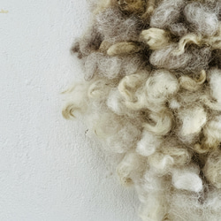 クリクリ2色の羊毛のハンギング 2枚目の画像