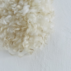 ホワイトクリクリ羊毛のハンギング 5枚目の画像