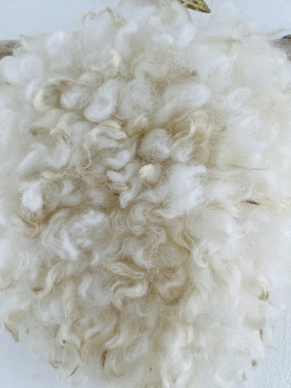 ホワイトクリクリ羊毛のハンギング 6枚目の画像