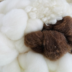 3種類の羊毛のハンギング 6枚目の画像