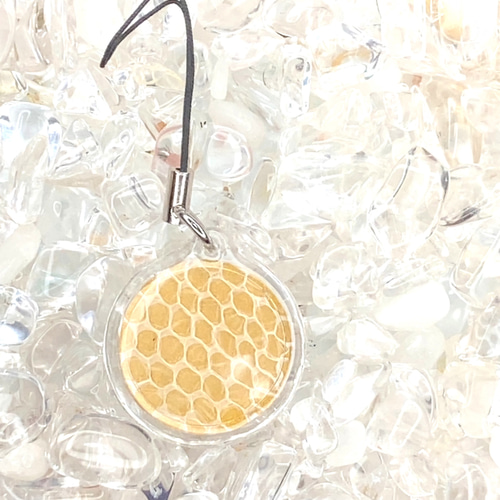 寛永通宝✨福銭✨種銭✨レジン✨縁起✨財布✨白蛇の脱け殻✨メモリー