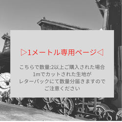 【1ｍ専用ページ】遠州織物 薄地 [リネン100%] 平織り 60番 生地 オフホワイト  1m〜 1枚目の画像