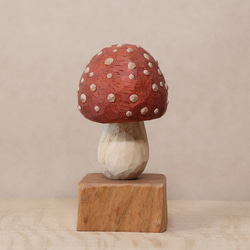 55e68b1e58636e2fa0cbcd0b7ecc6c