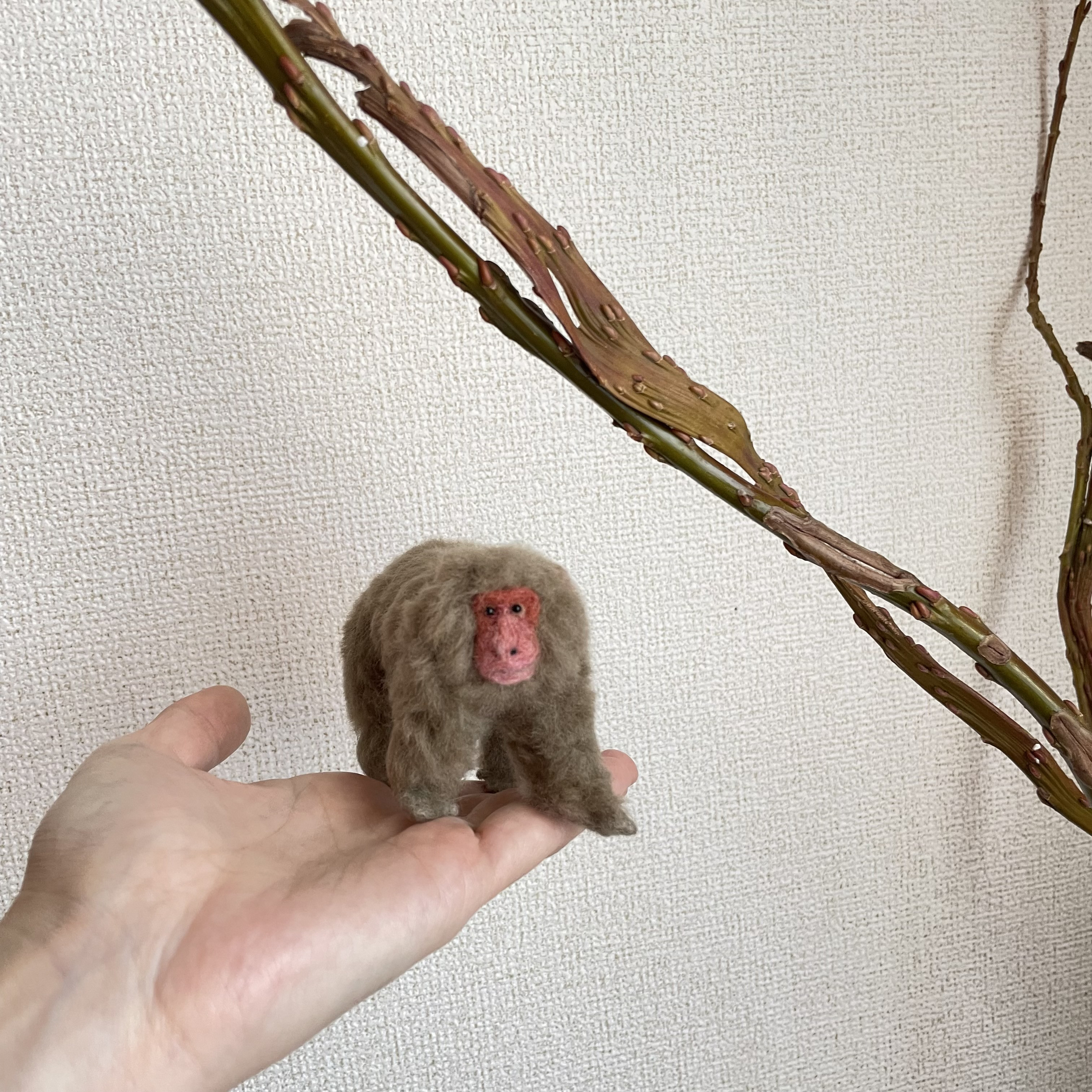 ニホンザル 13,400円