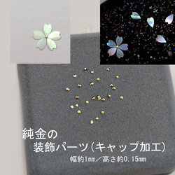夜光貝」螺鈿細工用の薄貝（長さ約15㎝）小1枚 その他素材 urushi