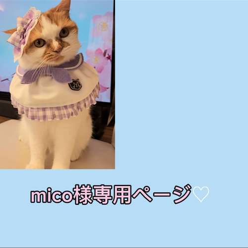 にゃん汰さま専用ページ にゃん汰様 専用 にゃん汰さま専用ページ - メルカリ