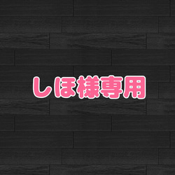 しほ様専用 1枚目の画像