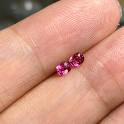 ビビアンピンク　丸缶　SML セット イマン　廃盤　新品未使用　送料無料 ビビアンピンク 丸缶 SML セット イマン 廃盤 新品未使用 送料無料