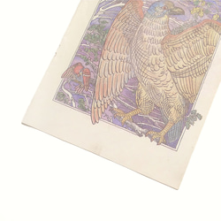 猛禽類 たくましい鳥 リトアニア洋書 カルトン 戯画 イラスト図版 ヴィンテージペーパー 2002－4 3枚目の画像