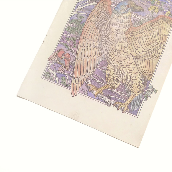 猛禽類 たくましい鳥 リトアニア洋書 カルトン 戯画 イラスト図版 ヴィンテージペーパー 2002－4 3枚目の画像