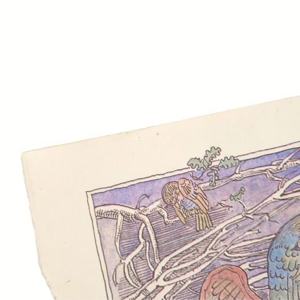 猛禽類 たくましい鳥 リトアニア洋書 カルトン 戯画 イラスト図版 ヴィンテージペーパー 2002－4 8枚目の画像