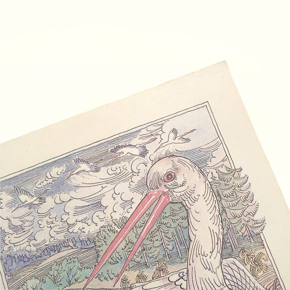 優雅な白い鳥 リトアニア洋書 カルトン 戯画 イラスト図版 ヴィンテージペーパー 2002－5 5枚目の画像