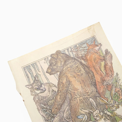 個性的な顔の熊と狼とうさぎと狐 リトアニア洋書 カルトン 戯画 イラスト図版 ヴィンテージペーパー 2002－6 2枚目の画像