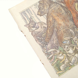 個性的な顔の熊と狼とうさぎと狐 リトアニア洋書 カルトン 戯画 イラスト図版 ヴィンテージペーパー 2002－6 4枚目の画像