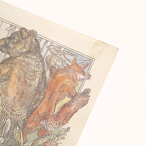 個性的な顔の熊と狼とうさぎと狐 リトアニア洋書 カルトン 戯画 イラスト図版 ヴィンテージペーパー 2002－6 5枚目の画像