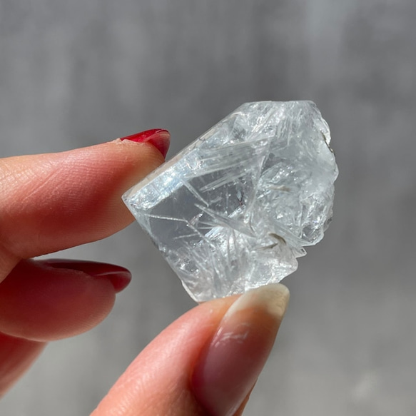 パキスタン ゴールデンヒーラー01