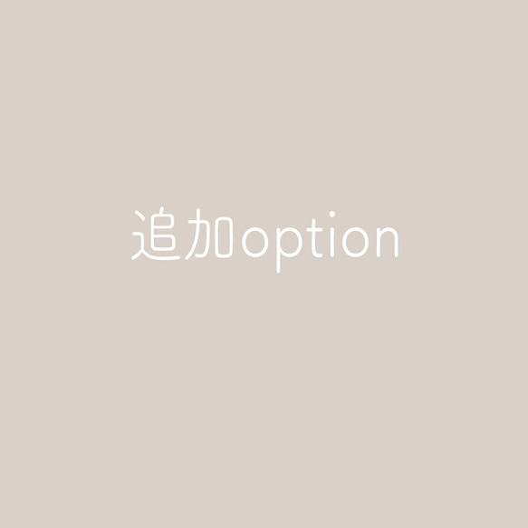 追加option 1枚目の画像