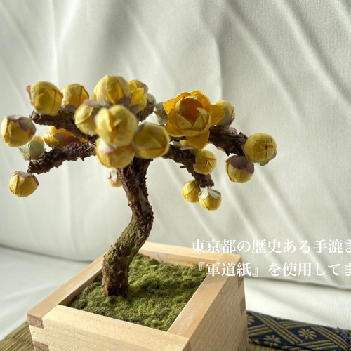 盆栽 『蝋梅』 和風 インテリア 観葉植物 花 オブジェ 送料無料 b208 無形文化財手漉き和紙を使用した蝋梅盆栽 その他インテリア雑貨 Rose7
