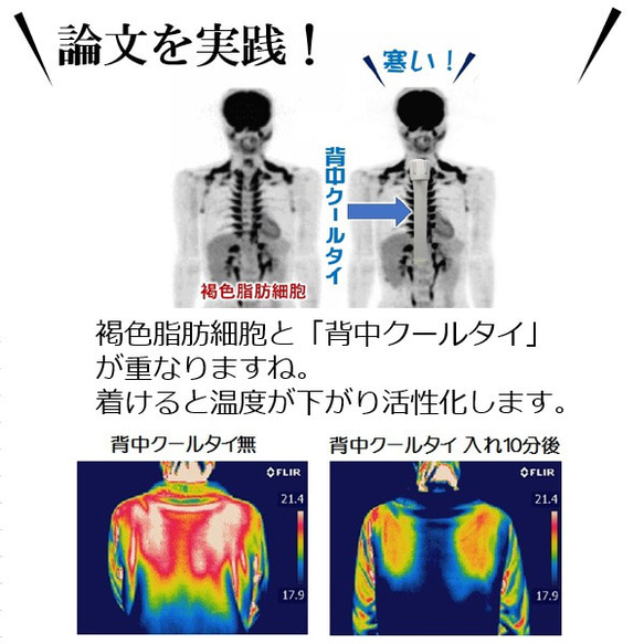 機能性サプリより優れた痩せる効果で中性脂肪を減らすダイエット方法は？自律神経体温調節とコラボする魔法の「背中クールタイ」 8枚目の画像