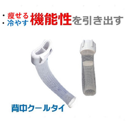 機能性サプリより優れた痩せる効果で中性脂肪を減らすダイエット方法は？自律神経体温調節とコラボする魔法の「背中クールタイ」 1枚目の画像