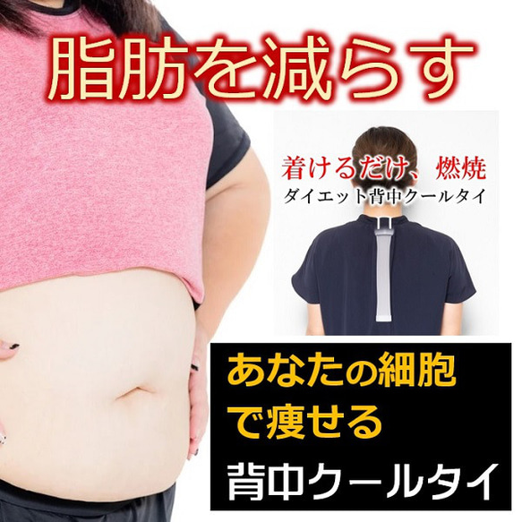 機能性サプリより優れた痩せる効果で中性脂肪を減らすダイエット方法は？自律神経体温調節とコラボする魔法の「背中クールタイ」 4枚目の画像