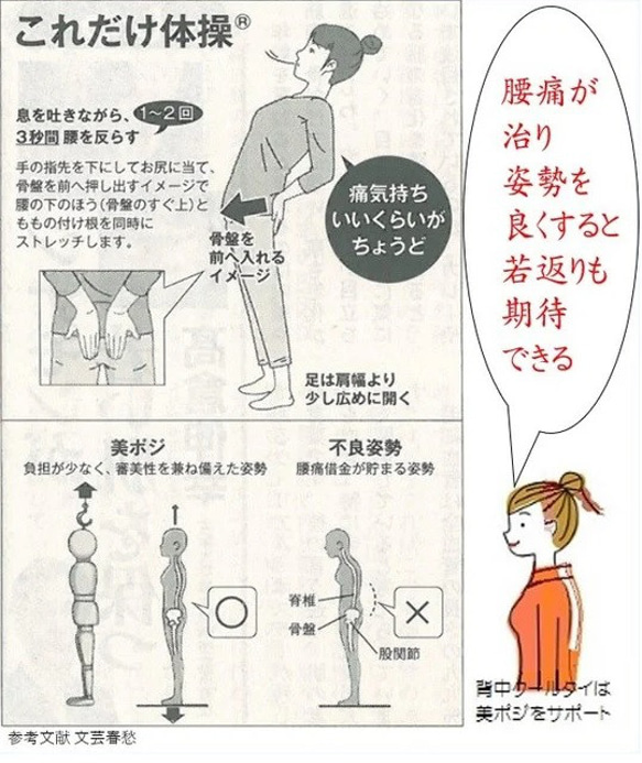 機能性サプリより優れた痩せる効果で中性脂肪を減らすダイエット方法は？自律神経体温調節とコラボする魔法の「背中クールタイ」 12枚目の画像