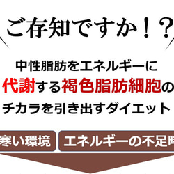 機能性サプリより優れた痩せる効果で中性脂肪を減らすダイエット方法は？自律神経体温調節とコラボする魔法の「背中クールタイ」 5枚目の画像