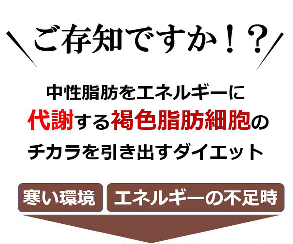 機能性サプリより優れた痩せる効果で中性脂肪を減らすダイエット方法は？自律神経体温調節とコラボする魔法の「背中クールタイ」 4枚目の画像