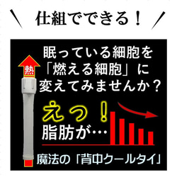 機能性サプリより優れた痩せる効果で中性脂肪を減らすダイエット方法は？自律神経体温調節とコラボする魔法の「背中クールタイ」 11枚目の画像