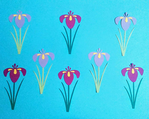 壁面飾り 菖蒲 サイズ変更可 5月 季節の花 季節飾り ラミネート可 壁面