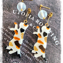 アポフィライト鉱石風inモルフォ蝶✩.*˚ ピアス（スタッド・一粒  