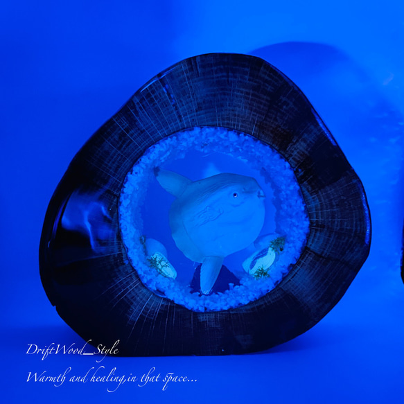 一つ限りの流木アート マンボウ 水中ジオラマ 流木 レジン テラリウム アクアリウム インテリア N3 2枚目の画像
