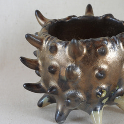 棘棘Gold陶製植木鉢 12枚目の画像