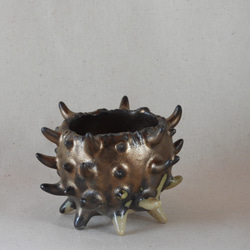 棘棘Gold陶製植木鉢 3枚目の画像