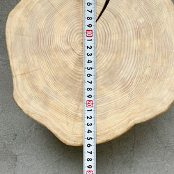 檜の樹皮なし丸太　15㎝厚　ワックス仕上げ　ディスプレイ台や素材に 6枚目の画像
