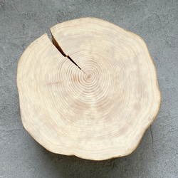 檜の樹皮なし丸太　15㎝厚　ワックス仕上げ　ディスプレイ台や素材に 3枚目の画像