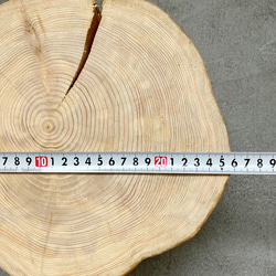 檜の樹皮なし丸太　15㎝厚　ワックス仕上げ　ディスプレイ台や素材に 5枚目の画像