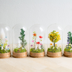 【進学・卒業ギフトにオススメ】パステルブルー_プチ・てのリウム 《プリザーブド苔テラリウム》 5枚目の画像