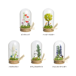 【進学・卒業ギフトにオススメ】パステルブルー_プチ・てのリウム 《プリザーブド苔テラリウム》 12枚目の画像