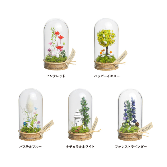 【進学・卒業ギフトにオススメ】パステルブルー_プチ・てのリウム 《プリザーブド苔テラリウム》 12枚目の画像