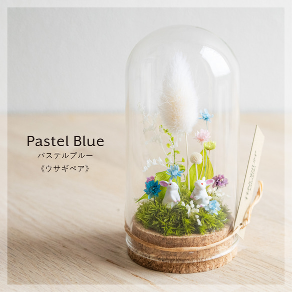 【進学・卒業ギフトにオススメ】パステルブルー_プチ・てのリウム 《プリザーブド苔テラリウム》 1枚目の画像