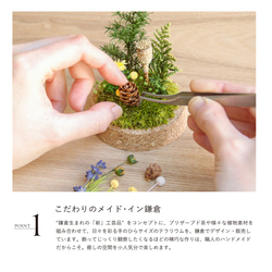 【進学・卒業ギフトにオススメ】パステルブルー_プチ・てのリウム 《プリザーブド苔テラリウム》 8枚目の画像