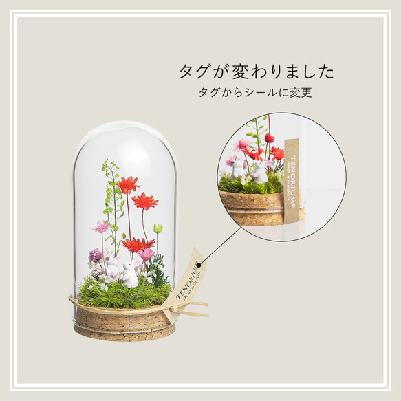 【進学・卒業ギフトにオススメ】パステルブルー_プチ・てのリウム 《プリザーブド苔テラリウム》 4枚目の画像