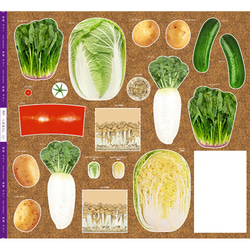 國貨 蔬菜商 新鮮蔬菜 大白菜 蘿蔔 黃瓜 馬鈴薯 番茄 姬菇 第1張的照片