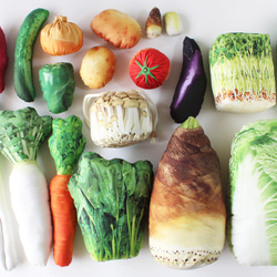 國貨 蔬菜商 新鮮蔬菜 大白菜 蘿蔔 黃瓜 馬鈴薯 番茄 姬菇 第4張的照片