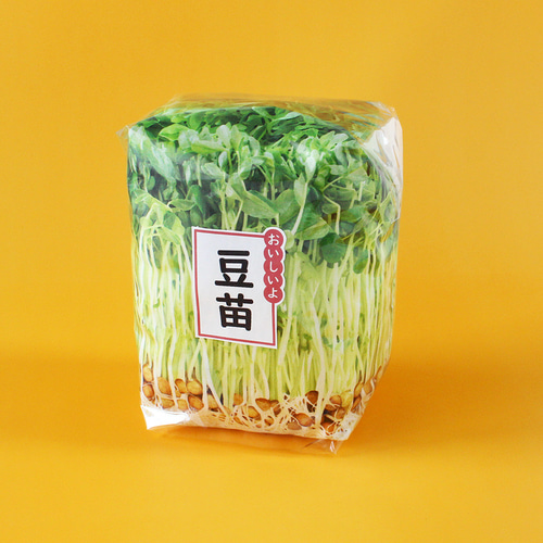 国産生地 八百屋さん 新鮮野菜 たけのこ しろねぎ にんじん ゴーヤ