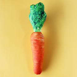 國貨 雜貨店 新鮮蔬菜 竹筍 白洋蔥 紅蘿蔔 苦瓜 地瓜 洋蔥 青椒 第11張的照片
