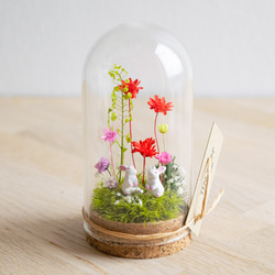 【お母さんへのギフトに大人気】ピンクレッド_プチ・てのリウム《プリザーブド苔テラリウム》 2枚目の画像